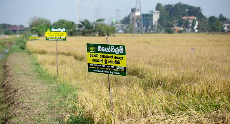 Eco-Friendly Fertilizer Subsidy Programme - 3rd February 2021